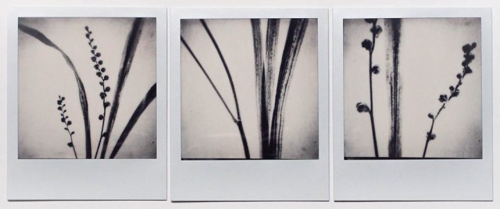 original Polaroid triptych