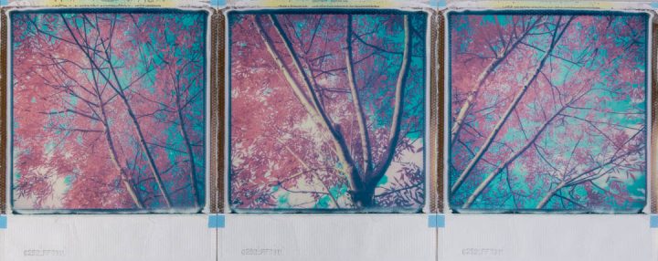 original Polaroid triptych
