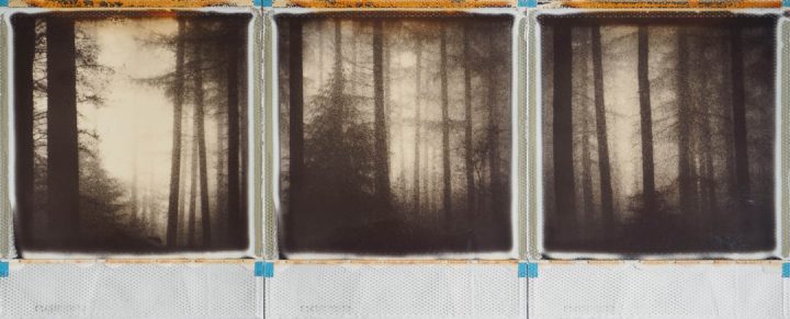 original Polaroid triptych
